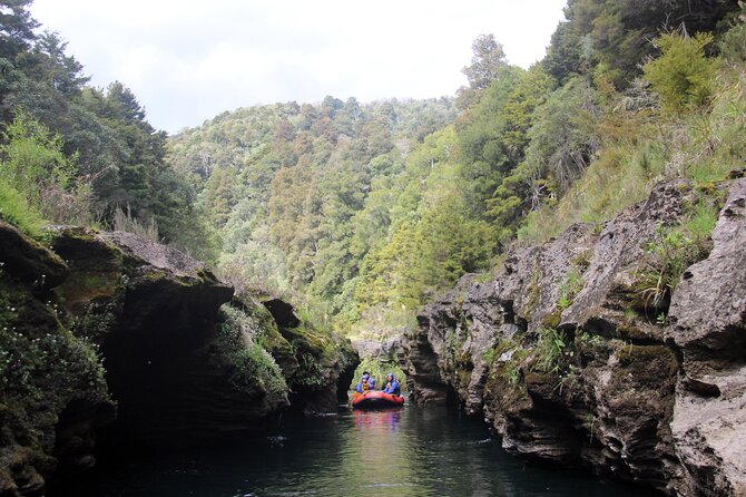Half Day, Grade 5, White Water Rafting on the Rangitikei River - Is the $170.66 price fair?