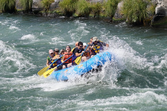 Half-Day Guided Whitewater Rafting - Deschutes River - The private format changes the experience