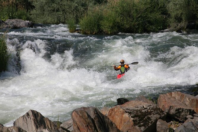 Half Day Rogue River White Water (Class I- IV) - Key points before you book
