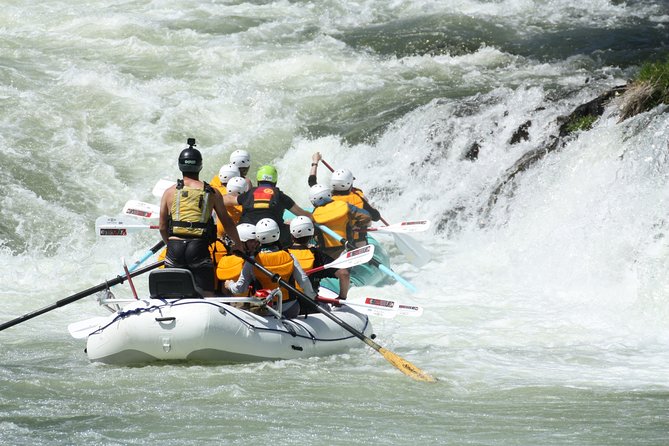 Half Day Rogue River White Water (Class I- IV) - Starting at Gold Hill Sports Park