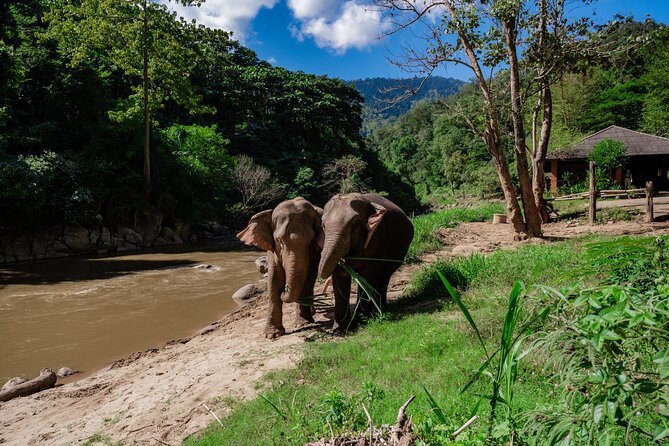 Half Day Visit and Whitewater Rafting Adventure - A long ride from Chiang Mai, followed by a quieter world