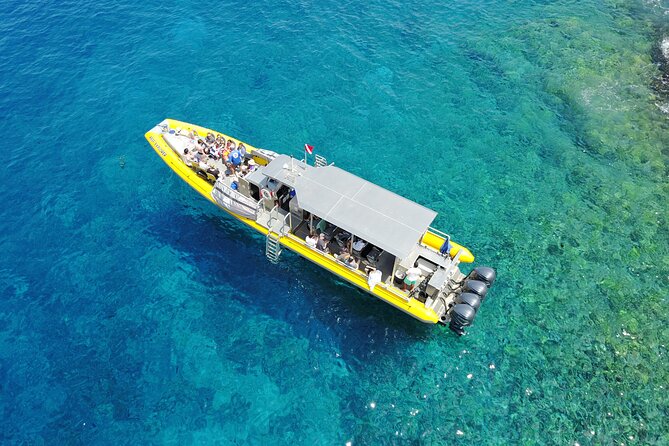 HIGH QUALITY Whale Watch Adventure Aboard Luxury Super Raft - Is $95 a fair price?