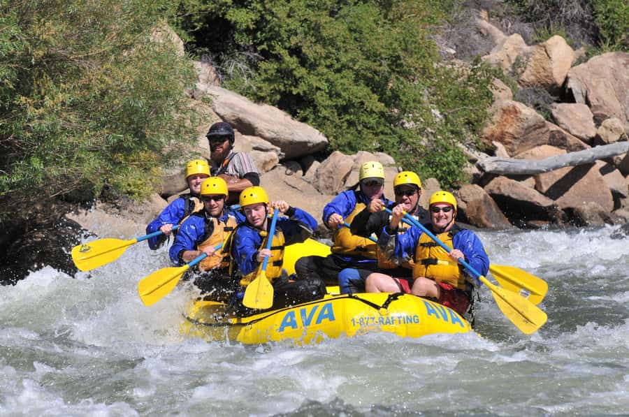Idaho Springs: Gold Rush Whitewater Rafting Half-Day Trip - Meeting at Ava Rafting and Zipline