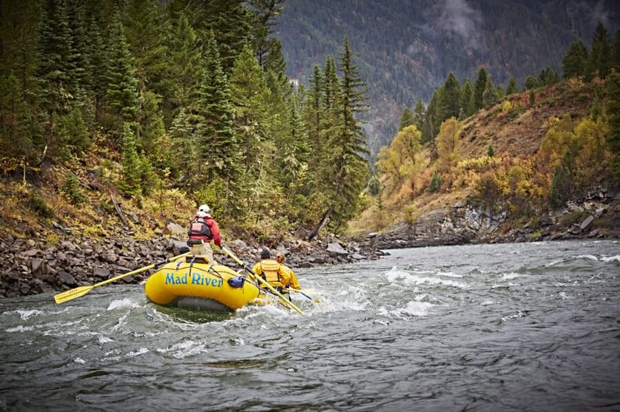 Jackson: 8-Mile Classic Boat Whitewater Rafting Trip - Eight miles of changing water in Snake River Canyon