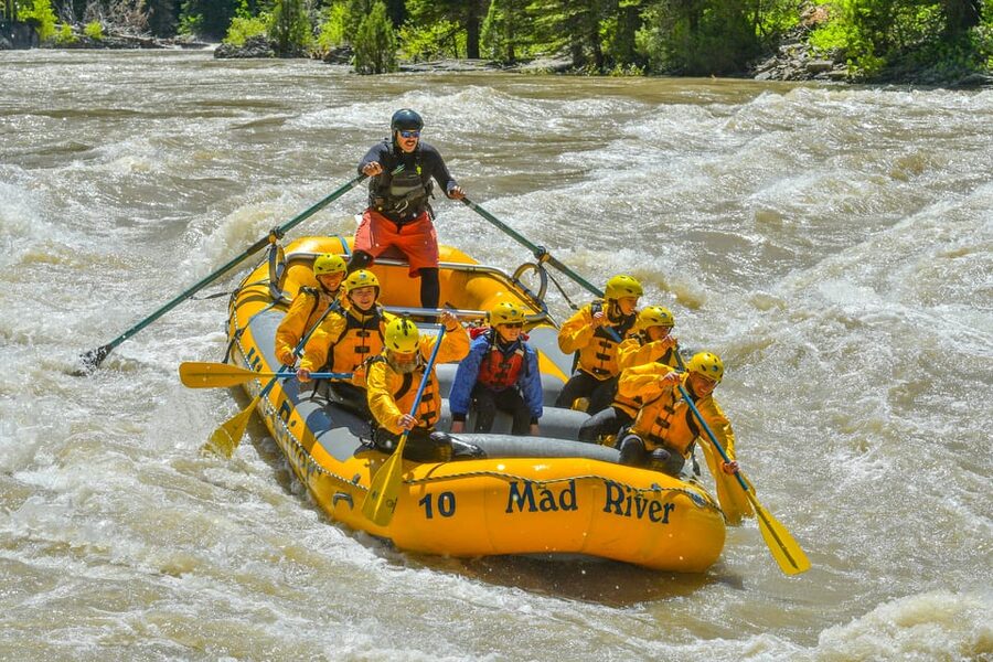 Jackson: 8-Mile Classic Boat Whitewater Rafting Trip - Wildlife and canyon scenery between the rapids