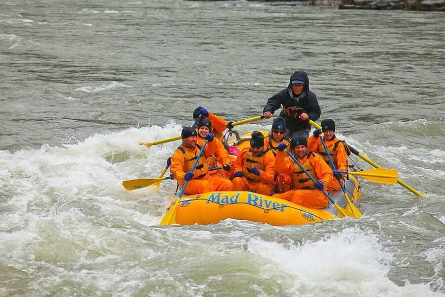Jackson: 8-Mile Small-Boat Whitewater Rafting Trip - Why this small raft feels different on the Snake River
