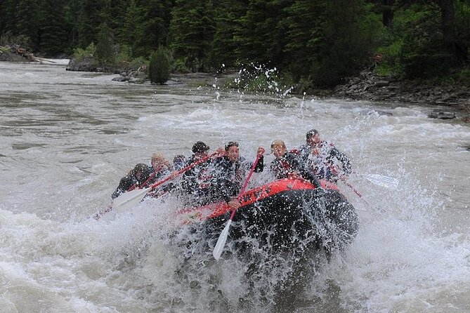 Jackson Hole Whitewater Rafting Small Boat - Timing, meeting point, and group size