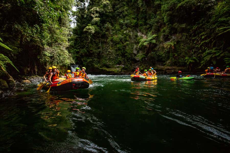 Kaituna River and Tutea Falls Whitewater Rafting - The practical cost at $80 per person