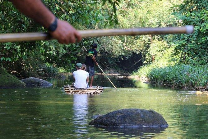 Khao Lak: Bamboo Rafting & Sea Turtle Conservation Center - What the Turtle Conservation Visit Really Offers