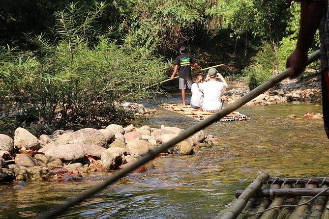Khao Lak: Bamboo Rafting & Sea Turtle Conservation Center - Should You Book the Bamboo Rafting and Turtle Tour?