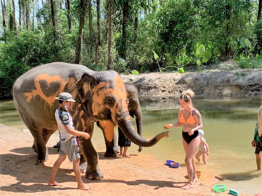 Khao Lak Ethical Adventure: Rafting, Turtles & Elephants - Key points to know before booking