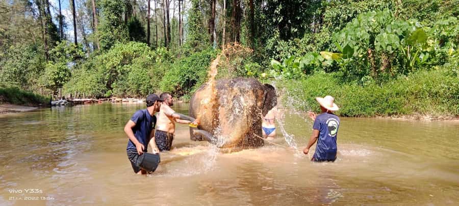 Khao Lak Ethical Adventure: Rafting, Turtles & Elephants - Why this day works for curious first-time visitors