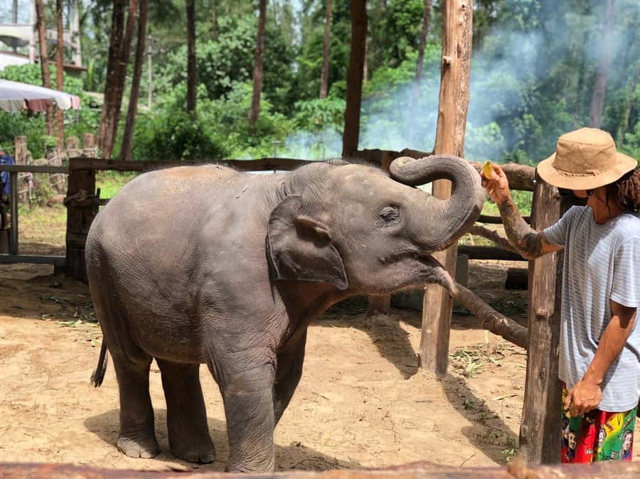 Khao Lak Ethical Adventure: Rafting, Turtles & Elephants - Bamboo rafting at Wang Kiang Koo Waterfall