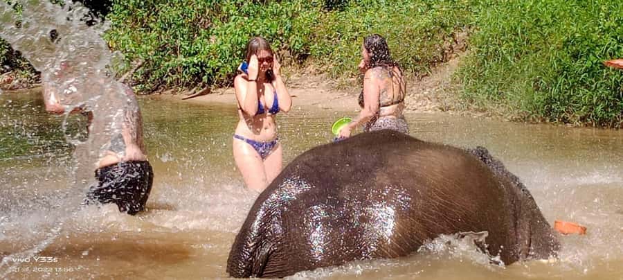 Khao Lak Ethical Adventure: Rafting, Turtles & Elephants - A southern Thai lunch worth making time for