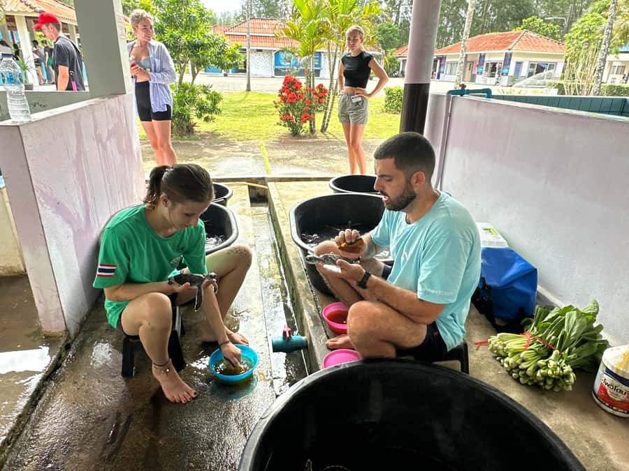 Khao Lak Ethical Adventure: Rafting, Turtles & Elephants - Police Boat 813 and the 2004 tsunami