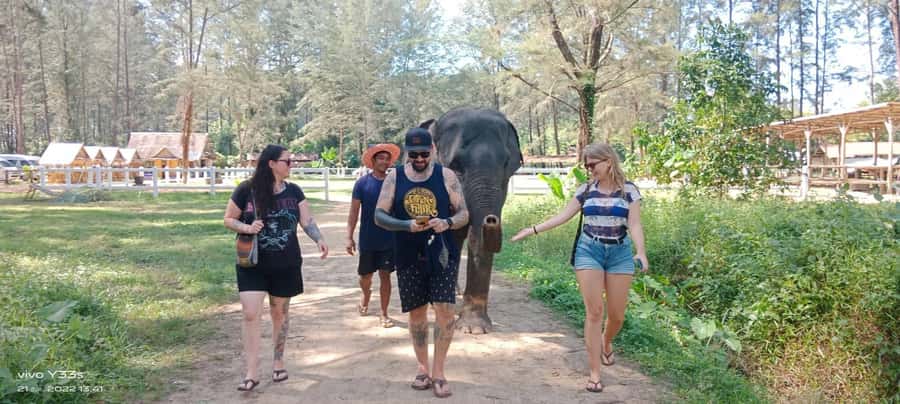 Khao Lak Ethical Adventure: Rafting, Turtles & Elephants - Meeting rescued elephants under a stricter policy