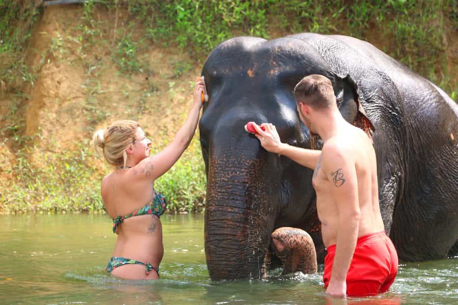 Khao Lak: Khao Sok Bamboo Rafting and Elephant Bathing Trip - Transport, guides, and the value of $79