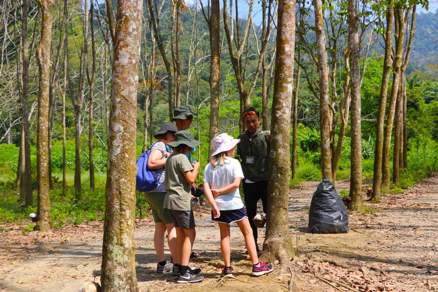Khao Lak: Khao Sok Bamboo Rafting and Elephant Bathing Trip - What to bring and who should book