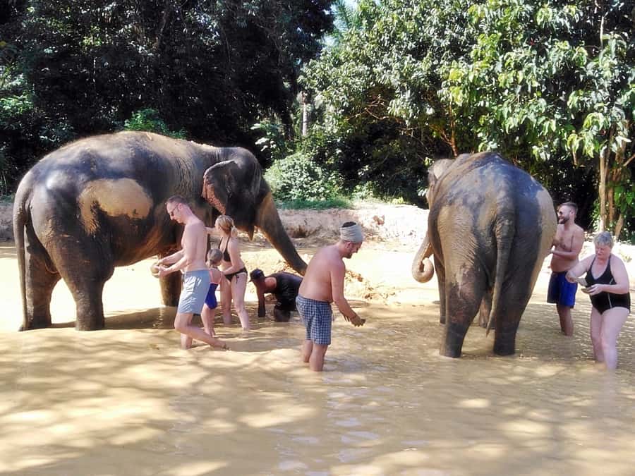 Khao Lak: Khao Sok Private Ethical Elephants & Rafting - Key points at a glance