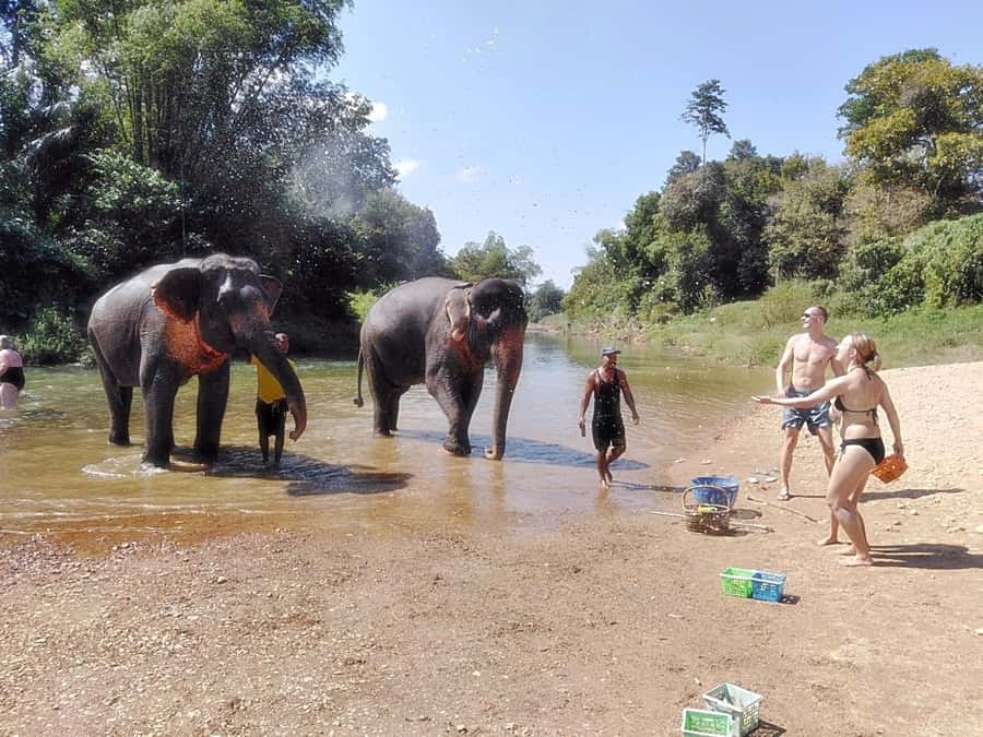 Khao Lak: Khao Sok Private Ethical Elephants & Rafting - From Khao Lak to Takua Pa market