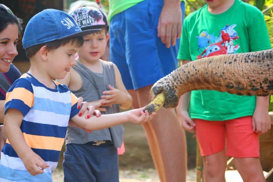 Khao Lak: Rafting, Elephant Bathing & Sea Turtle Center Tour - Is $73 a fair price?