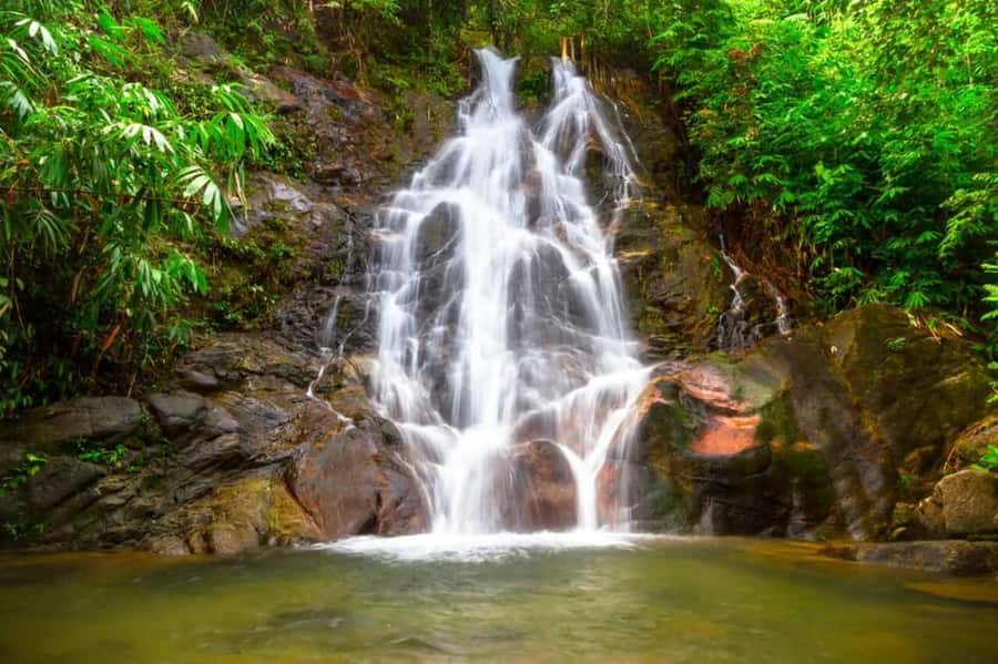 Khao Lak: Rafting, Elephant Bathing & Sea Turtle Center Tour - Feeding and bathing the elephants