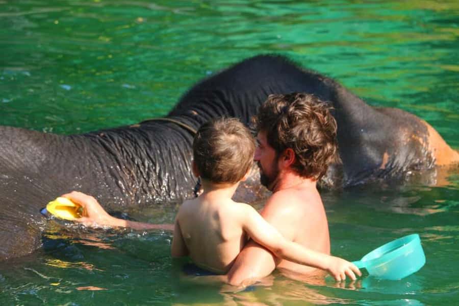 Khao Lak: Rafting, Elephant Bathing & Sea Turtle Center Tour - A calm start on the bamboo river