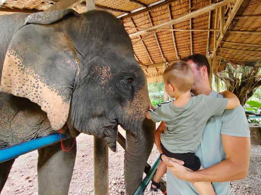 Khao Sok: Elephant Day Care, & Bamboo Rafting Day Tour - A simple southern Thai cooking session