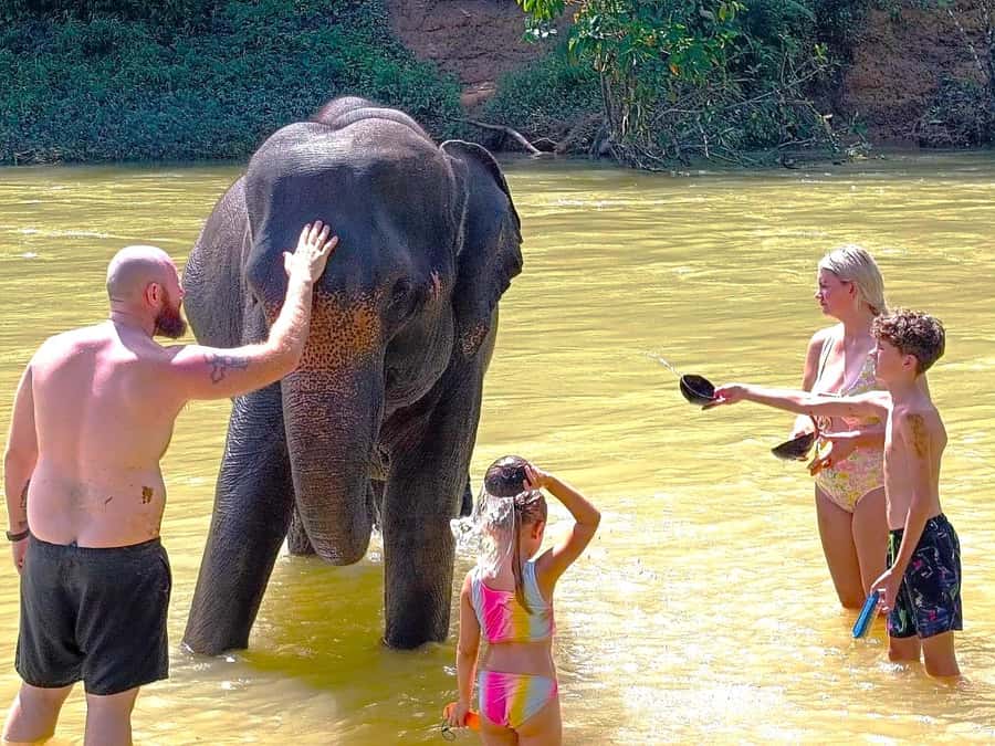 Khao Sok: Elephant Day Care, & Bamboo Rafting Day Tour - Bamboo rafting on the Sok River