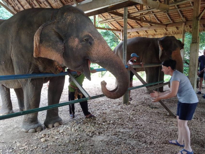 Khao Sok: Elephant Rescue Center with Lunch & Bamboo Rafting - What to pack and who should book