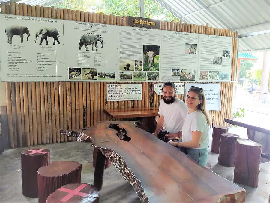 Khao Sok: Elephant Rescue Center with Lunch & Bamboo Rafting - Why the elephant program feels different
