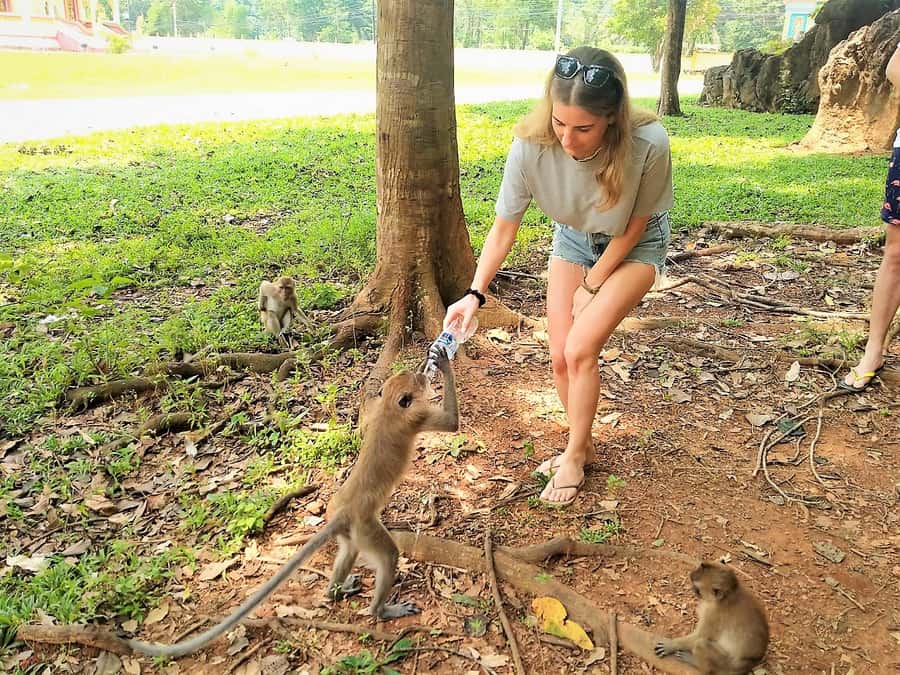 Khao Sok: Elephant Rescue Center with Lunch & Bamboo Rafting - Thai cooking and a generous southern lunch