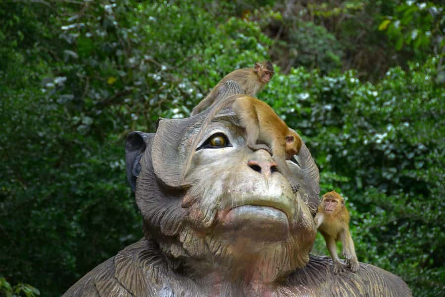 Khao Sok: Elephant Rescue Center with Lunch & Bamboo Rafting - Floating down the Sok River