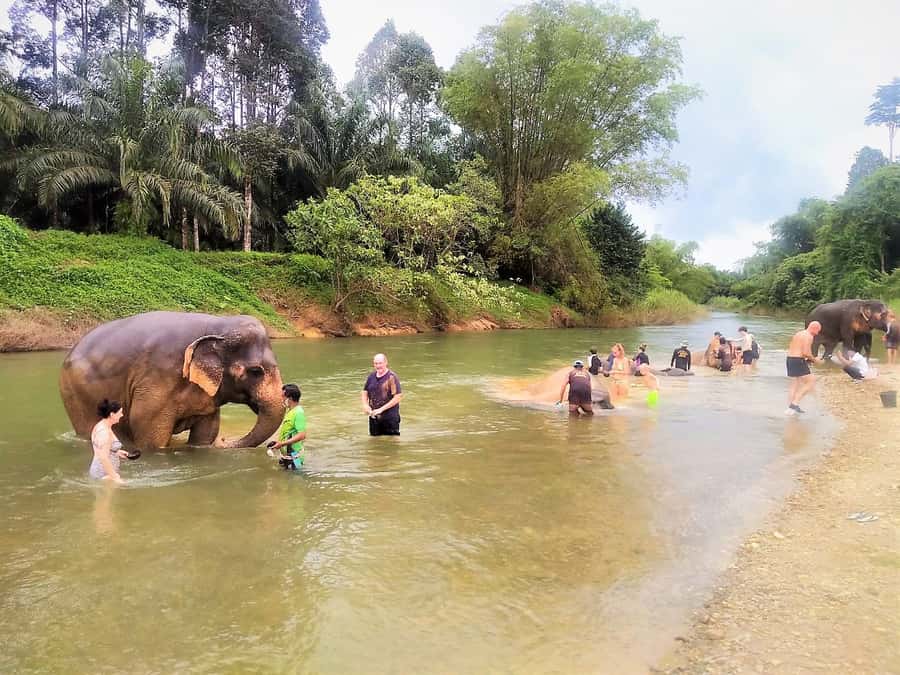 Khao Sok: Elephant Rescue Center with Lunch & Bamboo Rafting - Mae Yai waterfall and the return drive