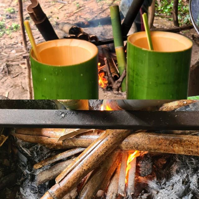 Khao Sok Jungle Day Trip - Jungle Trekking & Bamboo Rafting - Why this Khao Sok day trip works well