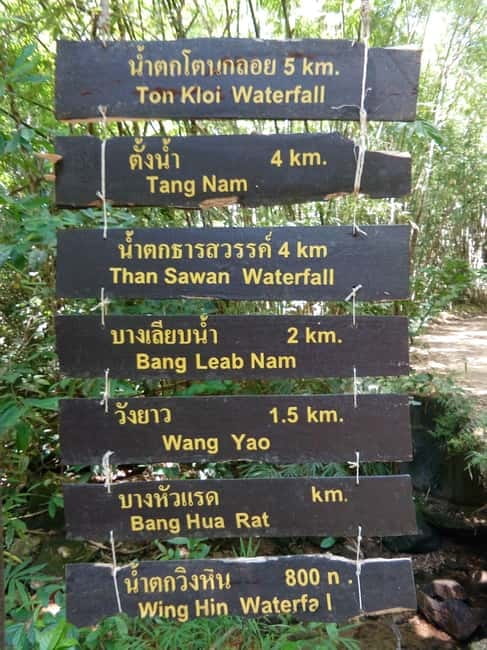 Khao Sok Jungle Day Trip - Jungle Trekking & Bamboo Rafting - Thai lunch beside the river