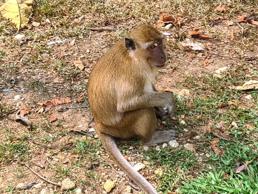 Khao Sok Jungle Day Trip - Jungle Trekking & Bamboo Rafting - Bamboo rafting on the Sok River