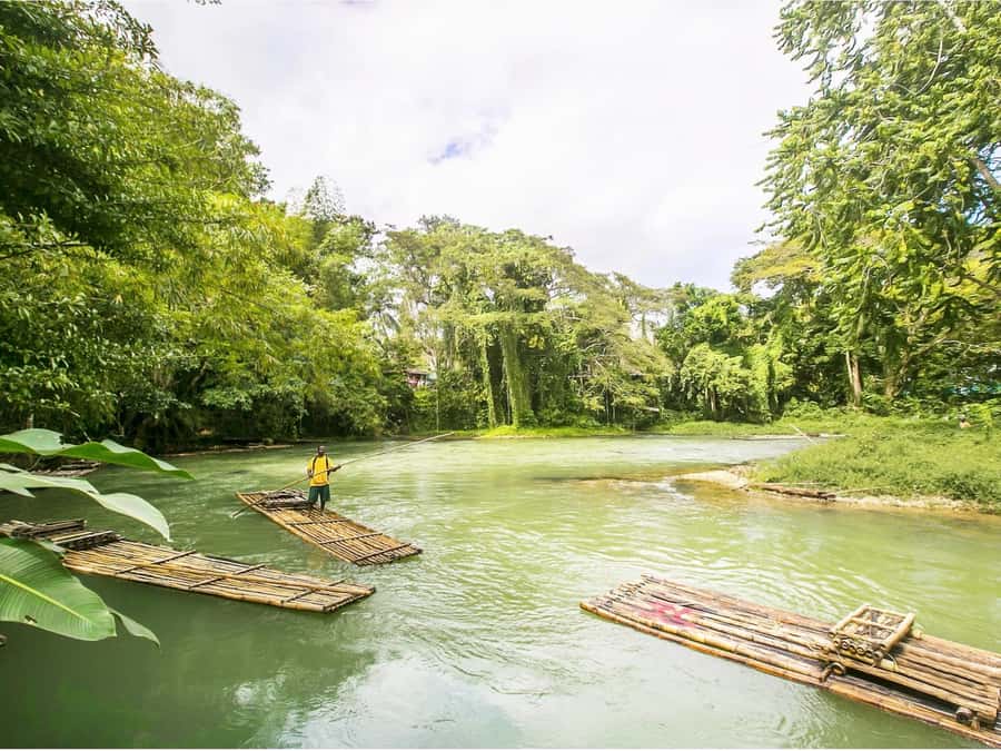 Khao Sok: Private Bamboo Rafting & Jungle Cooking Adventure - Looking for snakes, frogs, and jungle life