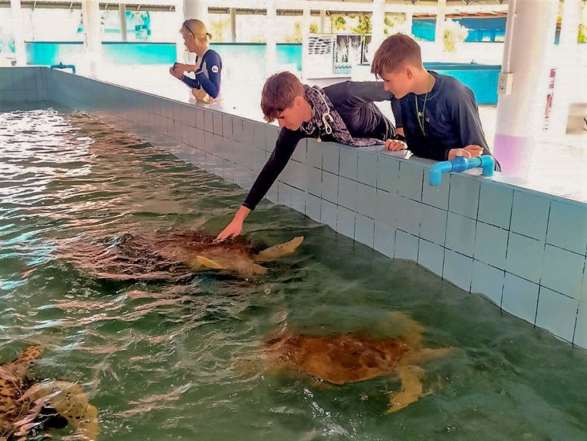 Khaolak: Bamboo Rafting, Waterfalls, and Turtle Conservation - Who will enjoy this Khao Lak tour?