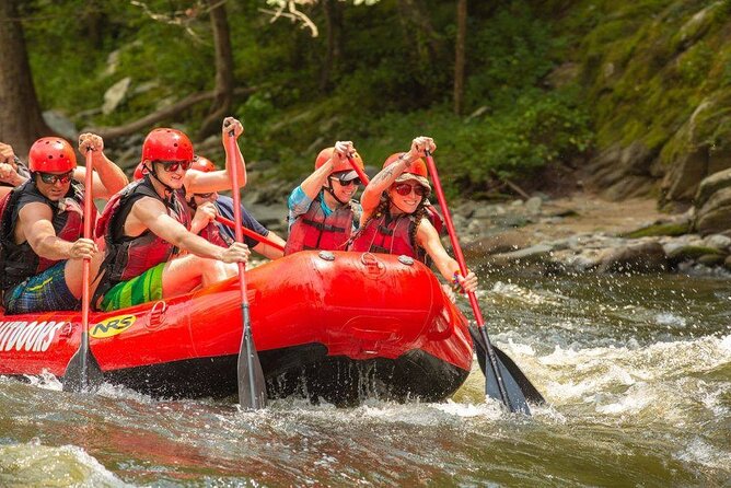 Lower Pigeon River Rafting Tour - A gentle start on the Lower Pigeon River