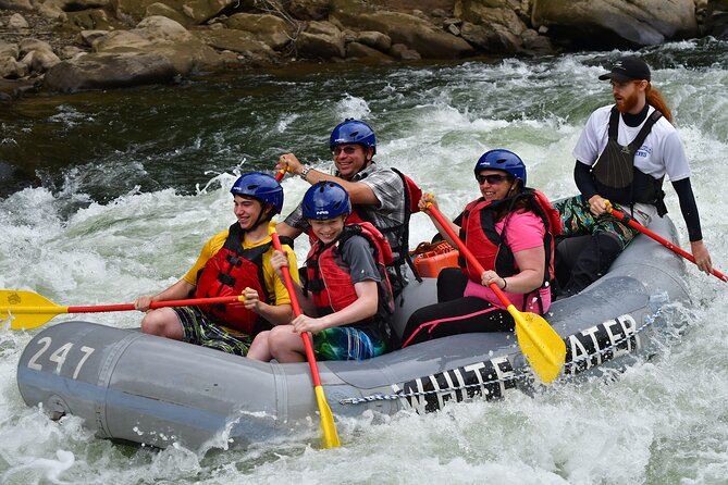 Lower Yough Pennsylvania Classic White Water Tour - Ohiopyle Falls from river level