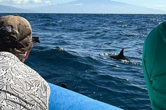 Maui Eco-Raft: 2 Hour Dolphin Watch Sightsee Tour (Semi-Private) - A close look at Maui from a low eco-raft