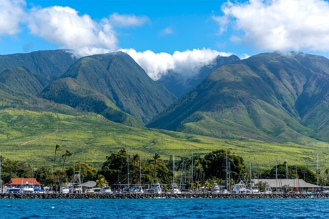 Maui Eco-Raft: 2 Hour Dolphin Watch Sightsee Tour (Semi-Private) - Why the 15-person limit matters