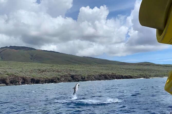 Maui Eco-Raft: 2 Hour Dolphin Watch Sightsee Tour (Semi-Private) - Who will enjoy this outing most