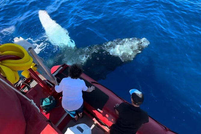Maui Whale-Watching Tour by Raft from Kihei - Starting at Kihei Boat Ramp