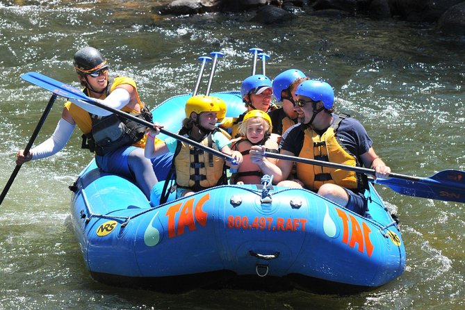 Milk Run Family Rafting Trip - A gentle Arkansas River introduction near Buena Vista