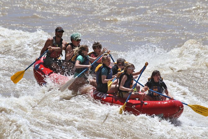 Moab Half-Day Rafting Trip - Fisher Towers from the water