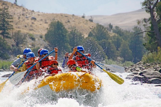 Montana Whitewater Half Day Raft Trip - Yellowstone River - Stop 2: the Yellowstone River picnic area