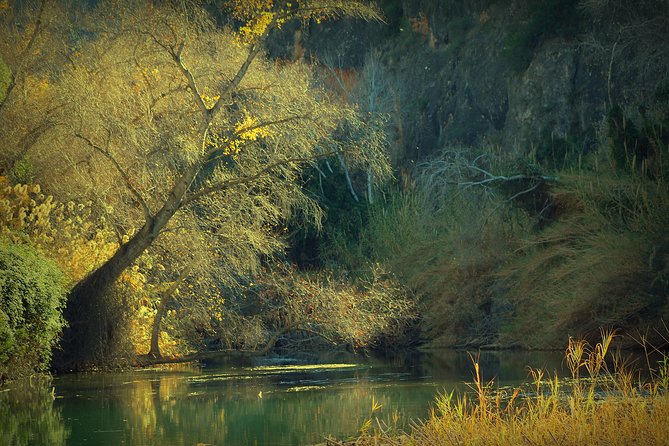 Murcia: Canyon of Almadenes Rafting, Caves & Photos - The swim stop and what to bring