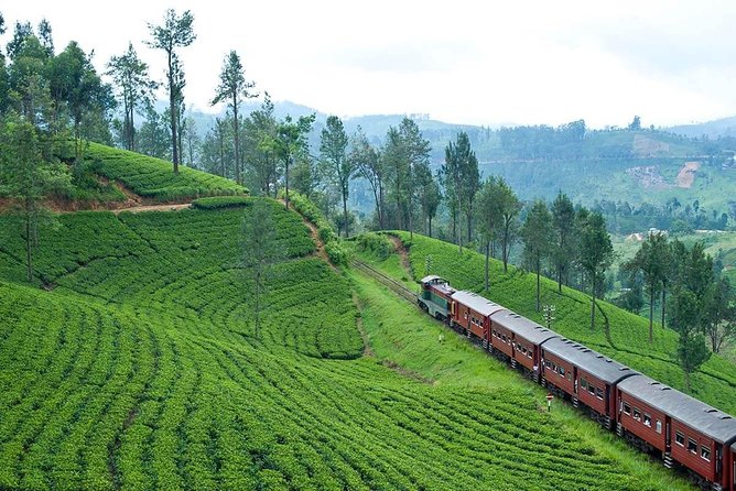 Nuwaraeliya Day Tour & Kithulgala Water Rafting from Kandy,Colombo or Ella - Why this Nuwara Eliya and Kitulgala pairing works
